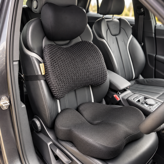 Spinely Driver Bundle with seat, back and neck support
